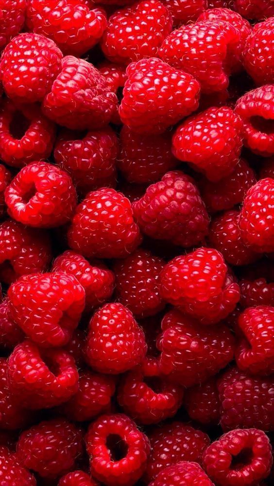 Bloody Berry, Carcadet Infusión (100 GR)
