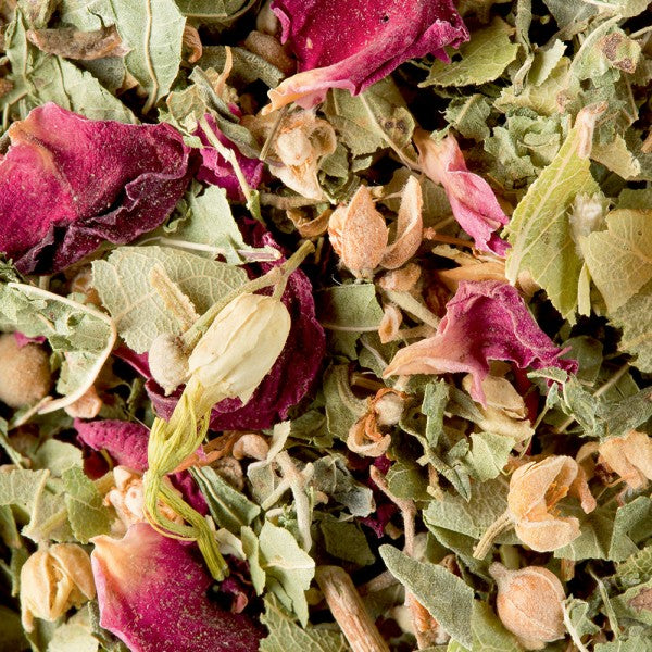 tisana bali 100g infusion Dammann