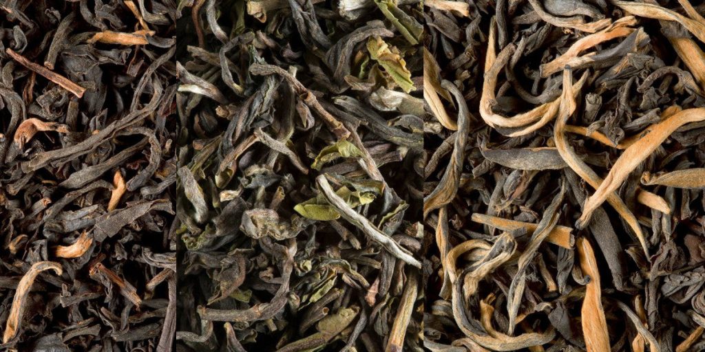 Te negro puro origen Assam Darjeeling Ceylan